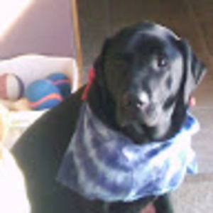 Meet your Posher, Audrey